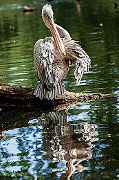 《战地6》累计游戏市场9200万小时 首日补丁含大量改动